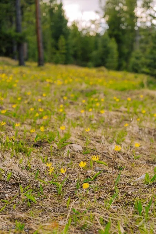 Lot 205 Outlook Trail, Big Sky, Montana 59716, Big Sky, Montana 59716, ,Land,For Sale,Lot 205 Outlook Trail, Big Sky, Montana 59716,402570