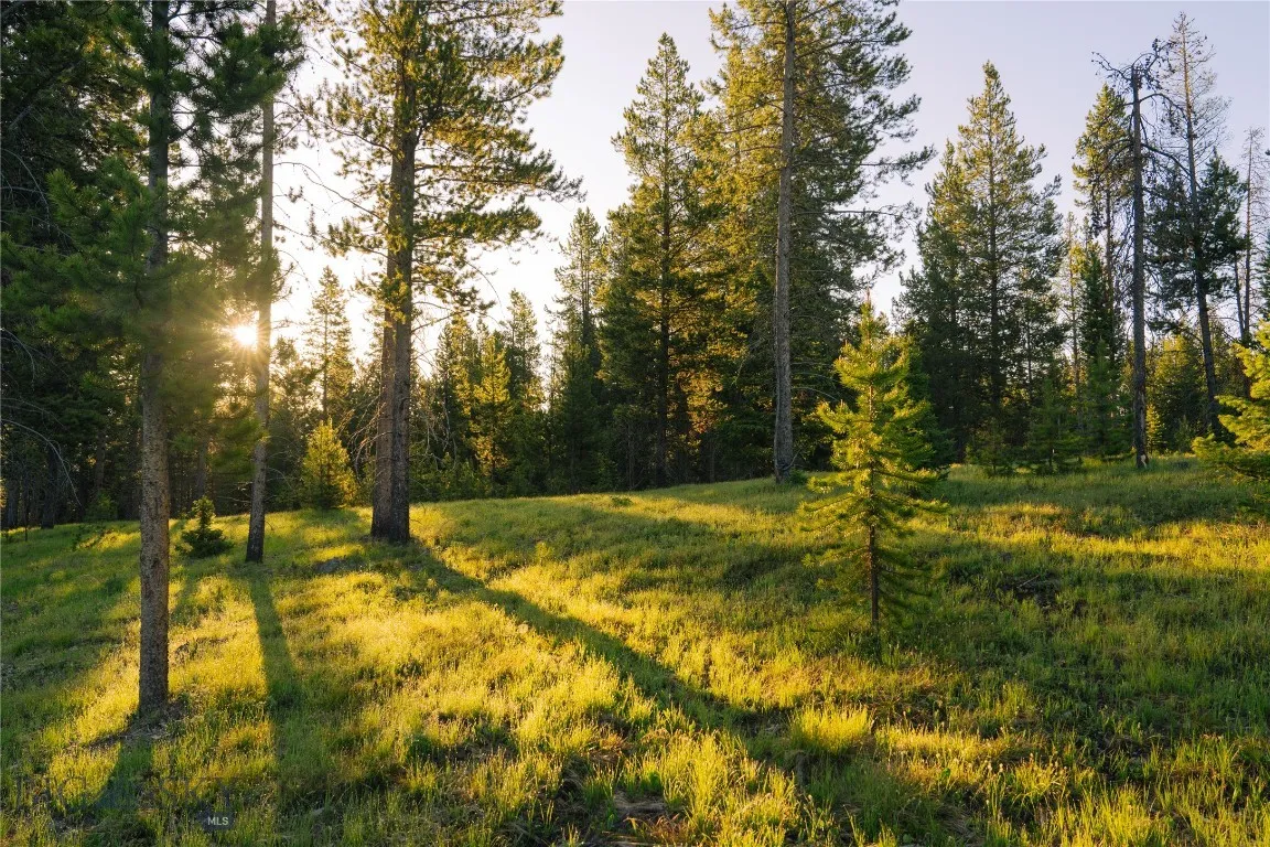 Lot 205 Outlook Trail, Big Sky, Montana 59716, Big Sky, Montana 59716, ,Land,For Sale,Lot 205 Outlook Trail, Big Sky, Montana 59716,402570