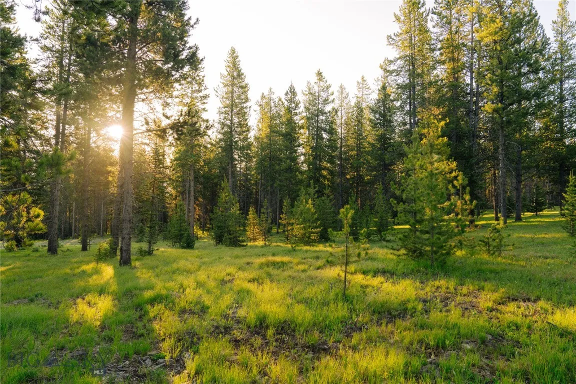 Lot 205 Outlook Trail, Big Sky, Montana 59716, Big Sky, Montana 59716, ,Land,For Sale,Lot 205 Outlook Trail, Big Sky, Montana 59716,402570