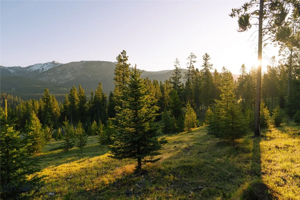 Lot 205 Outlook Trail, Big Sky, Montana 59716, Big Sky, Montana 59716, ,Land,For Sale,Lot 205 Outlook Trail, Big Sky, Montana 59716,402570