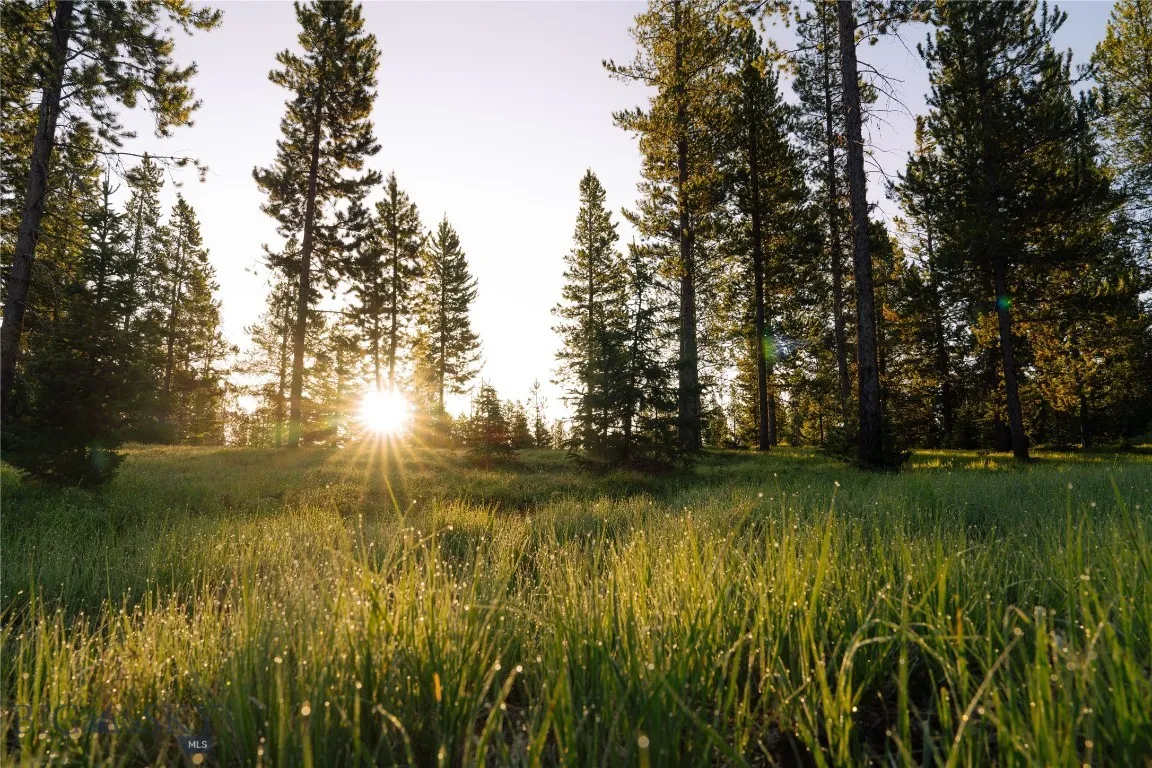 Lot 205 Outlook Trail, Big Sky, Montana 59716, Big Sky, Montana 59716, ,Land,For Sale,Lot 205 Outlook Trail, Big Sky, Montana 59716,402570