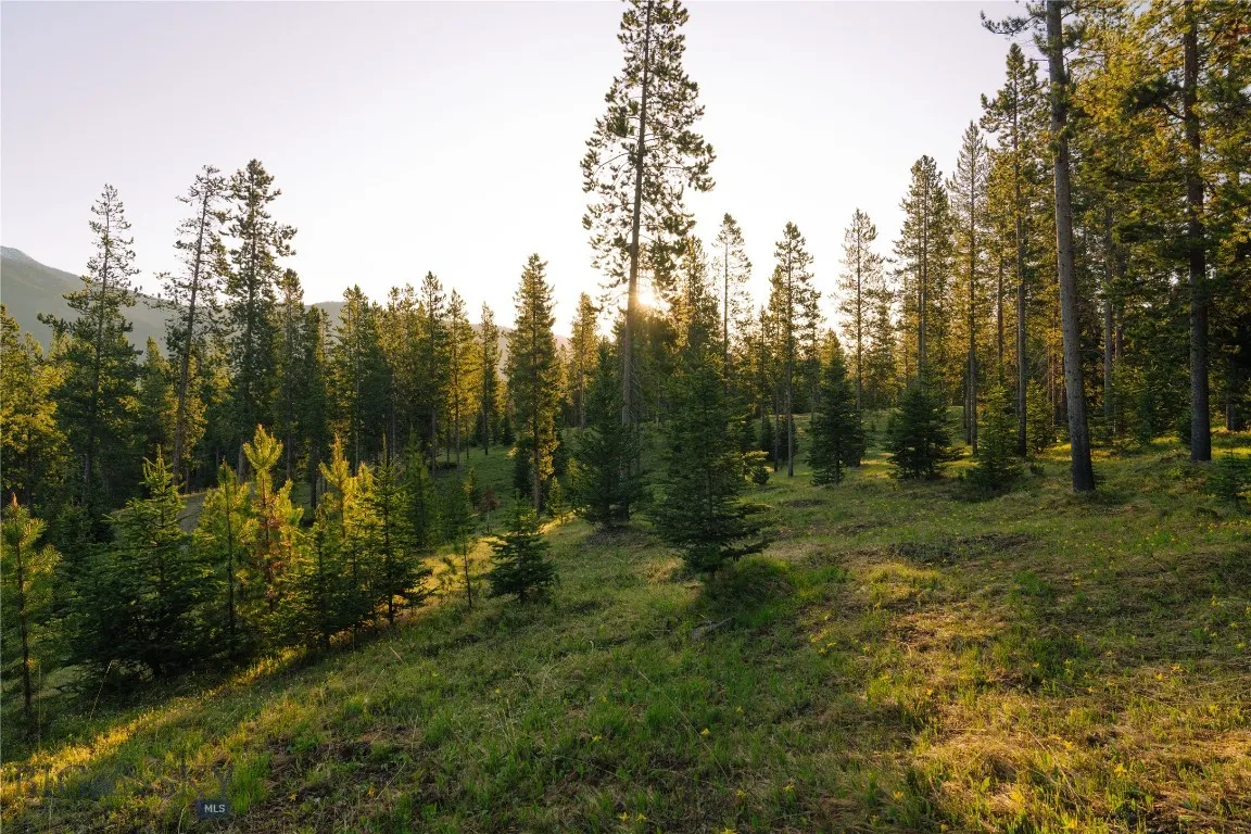 Lot 205 Outlook Trail, Big Sky, Montana 59716, Big Sky, Montana 59716, ,Land,For Sale,Lot 205 Outlook Trail, Big Sky, Montana 59716,402570