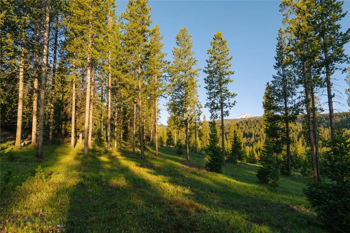Lot 205 Outlook Trail, Big Sky, Montana 59716, Big Sky, Montana 59716, ,Land,For Sale,Lot 205 Outlook Trail, Big Sky, Montana 59716,402570