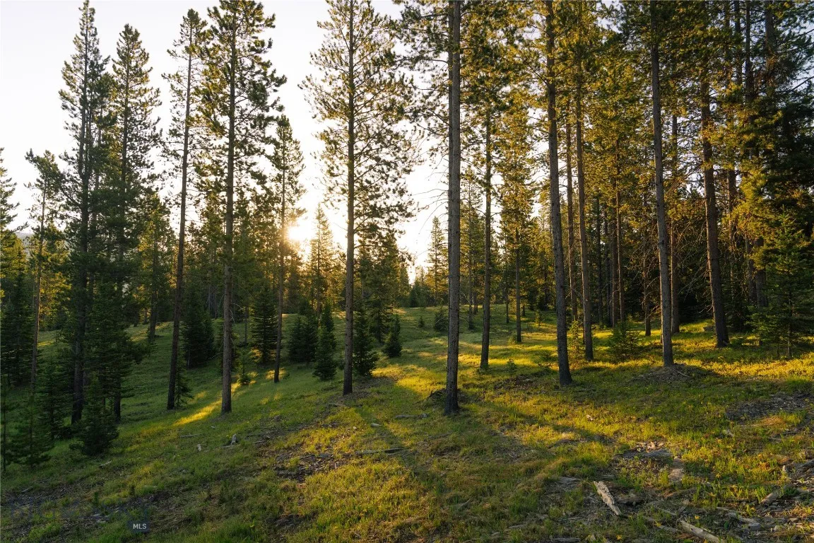 Lot 205 Outlook Trail, Big Sky, Montana 59716, Big Sky, Montana 59716, ,Land,For Sale,Lot 205 Outlook Trail, Big Sky, Montana 59716,402570