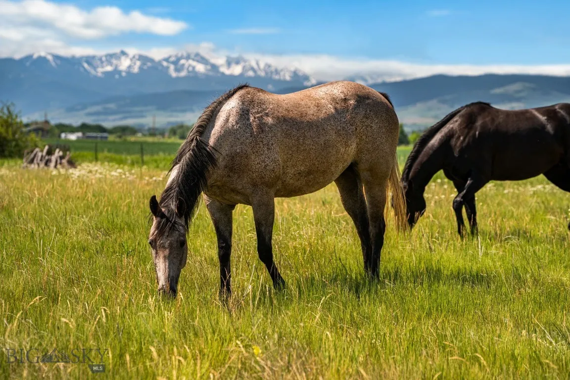 Tbd Dovetail Lane, Bozeman, Montana 59715, Bozeman, Montana 59715, ,Land,For Sale,Tbd Dovetail Lane, Bozeman, Montana 59715,403277