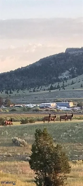 119043 Battle Ridge Road, Butte, Montana 59750, Butte, Montana 59750, 3 Bedrooms Bedrooms, ,2 BathroomsBathrooms,Residential,For Sale,119043 Battle Ridge Road, Butte, Montana 59750,0,403301