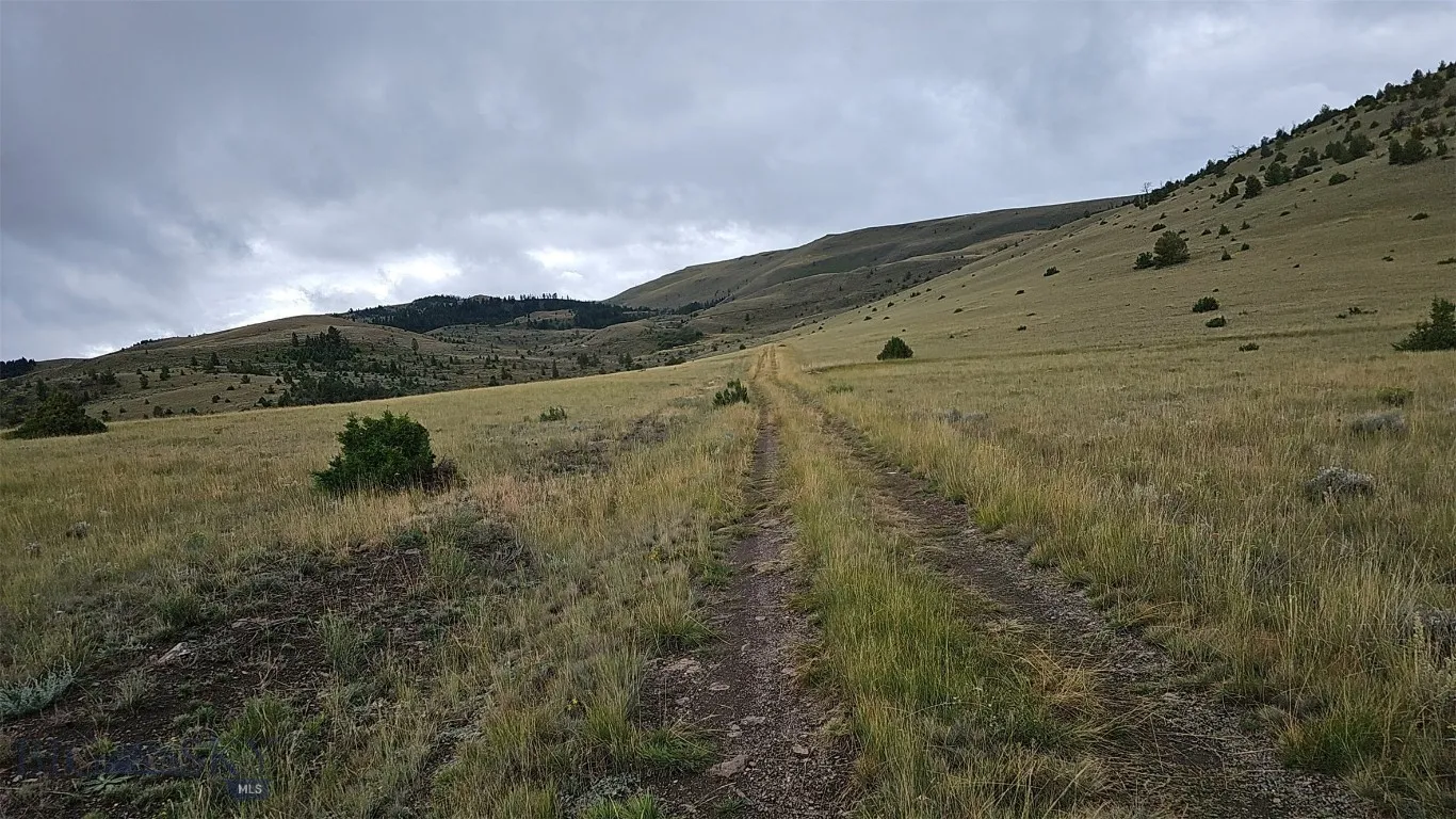 Tbd Cow Camp Trail, Ennis, Montana 59729, Ennis, Montana 59729, ,Land,For Sale,Tbd Cow Camp Trail, Ennis, Montana 59729,403283