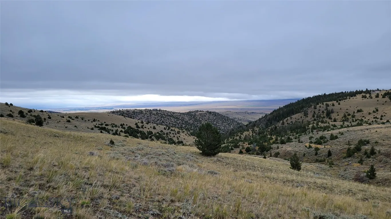 Tbd Cow Camp Trail, Ennis, Montana 59729, Ennis, Montana 59729, ,Land,For Sale,Tbd Cow Camp Trail, Ennis, Montana 59729,403283