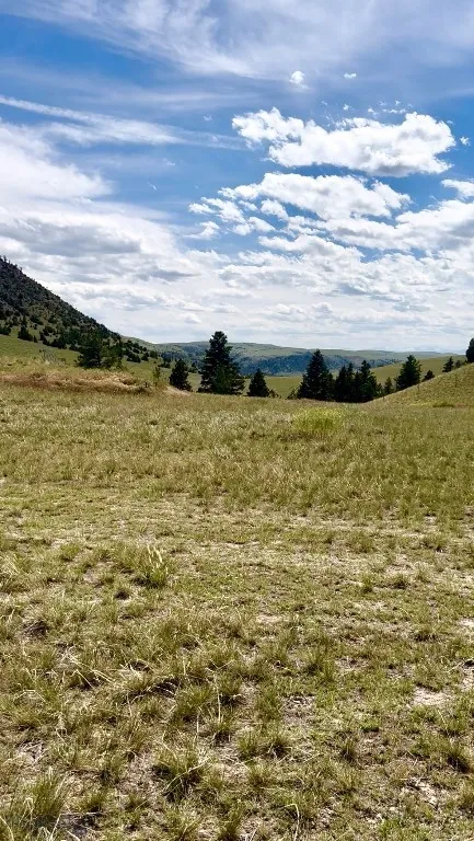 Potential build site