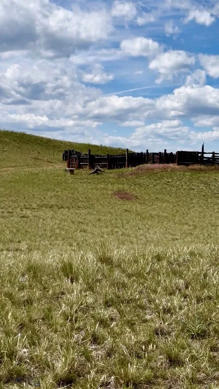Facing North West - looking at driveway entrance