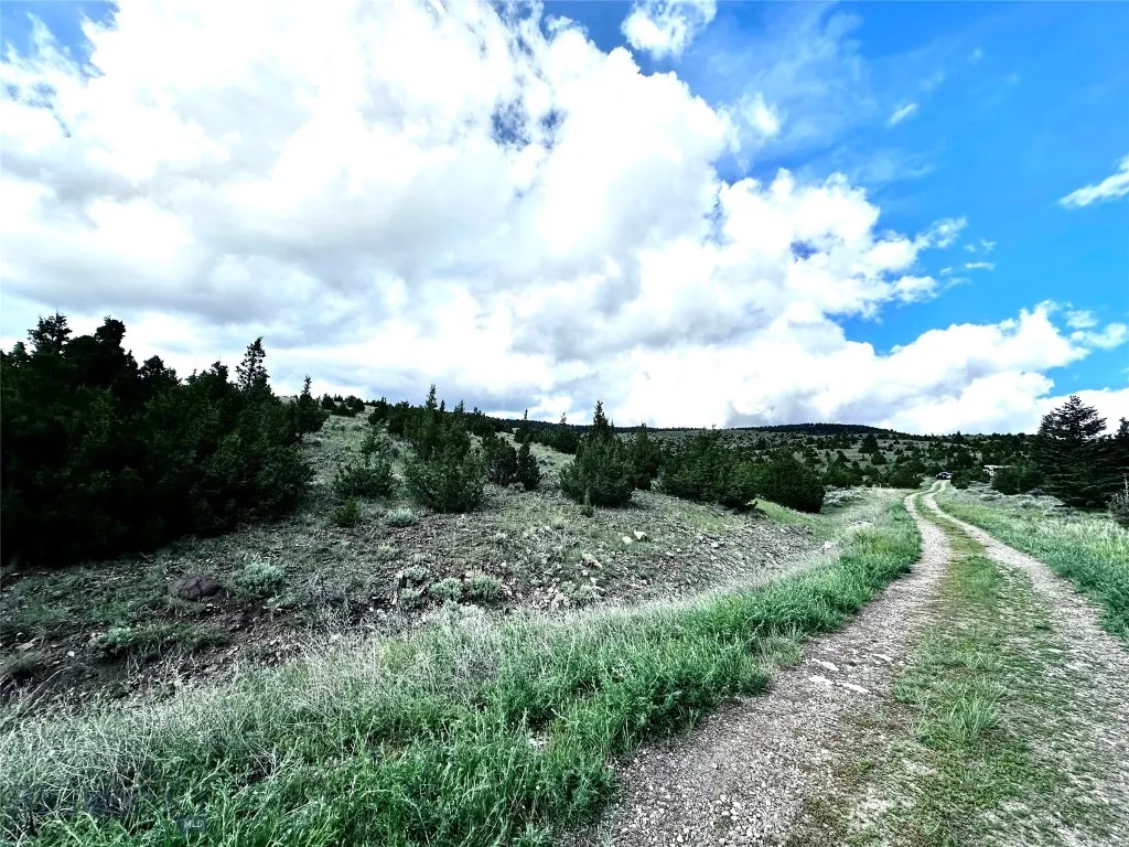 Two track road access to some parcels