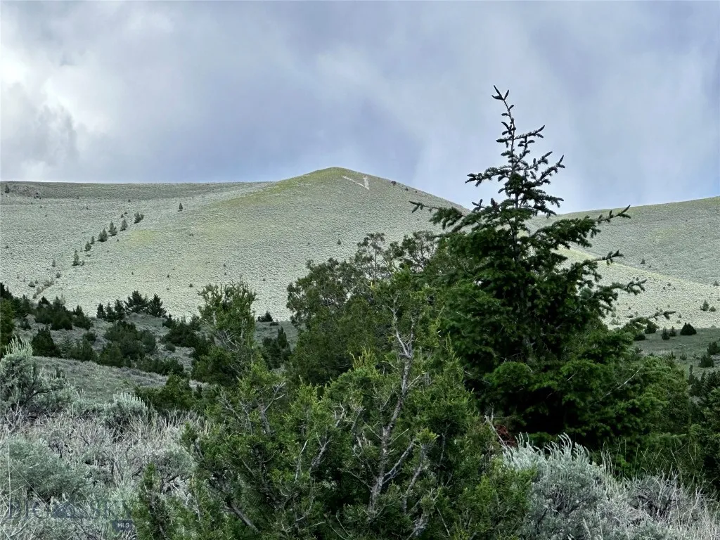 Borders ranchlands - note the 