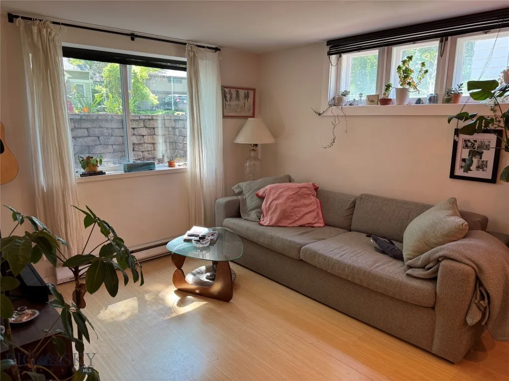 downstairs living room - lots of light!