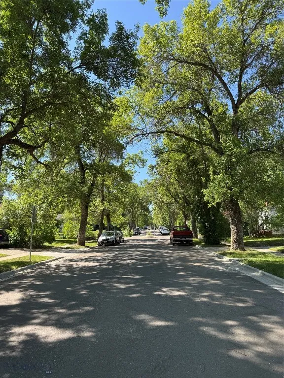mature tree lined street
