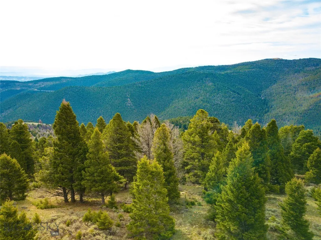 Tbd (58+/- Acres) Ottawa Gulch Road, Canyon Creek, Canyon Creek, Montana 59633, ,Land,For Sale,Tbd (58+/- Acres) Ottawa Gulch Road, Canyon Creek,403417