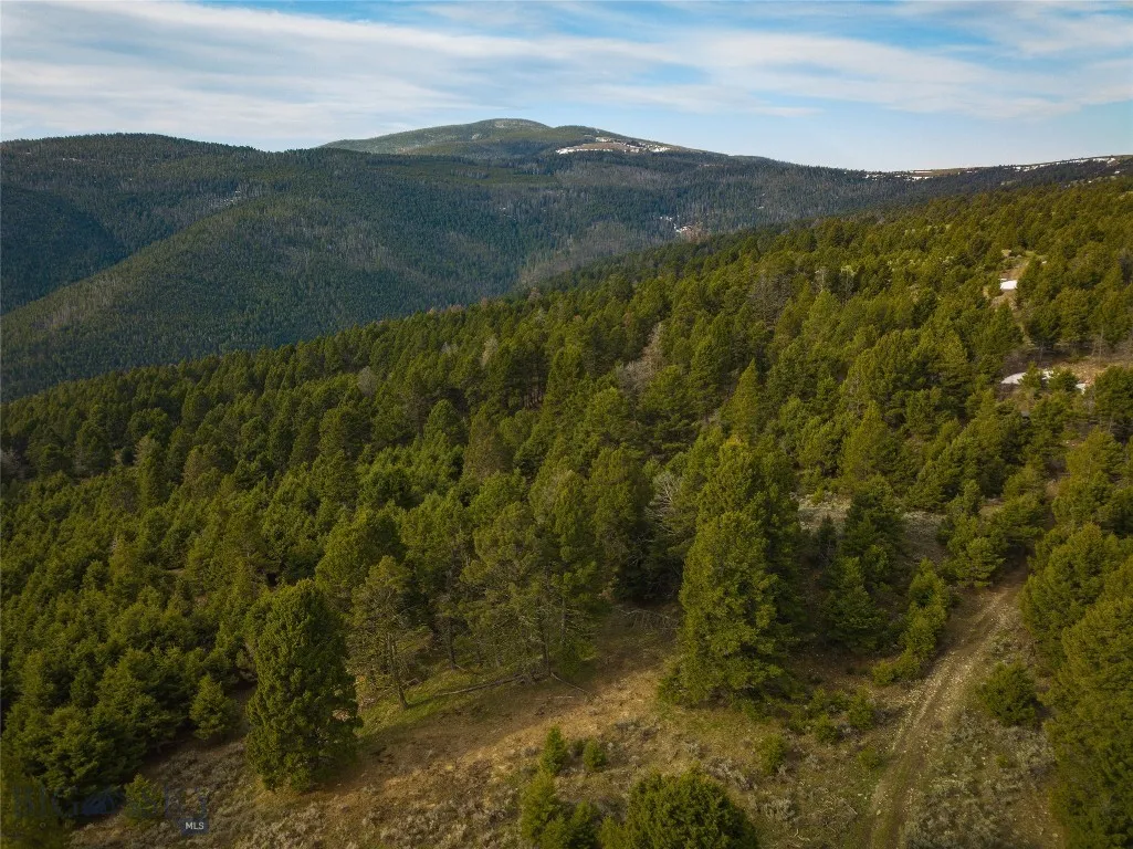 Tbd (58+/- Acres) Ottawa Gulch Road, Canyon Creek, Canyon Creek, Montana 59633, ,Land,For Sale,Tbd (58+/- Acres) Ottawa Gulch Road, Canyon Creek,403417