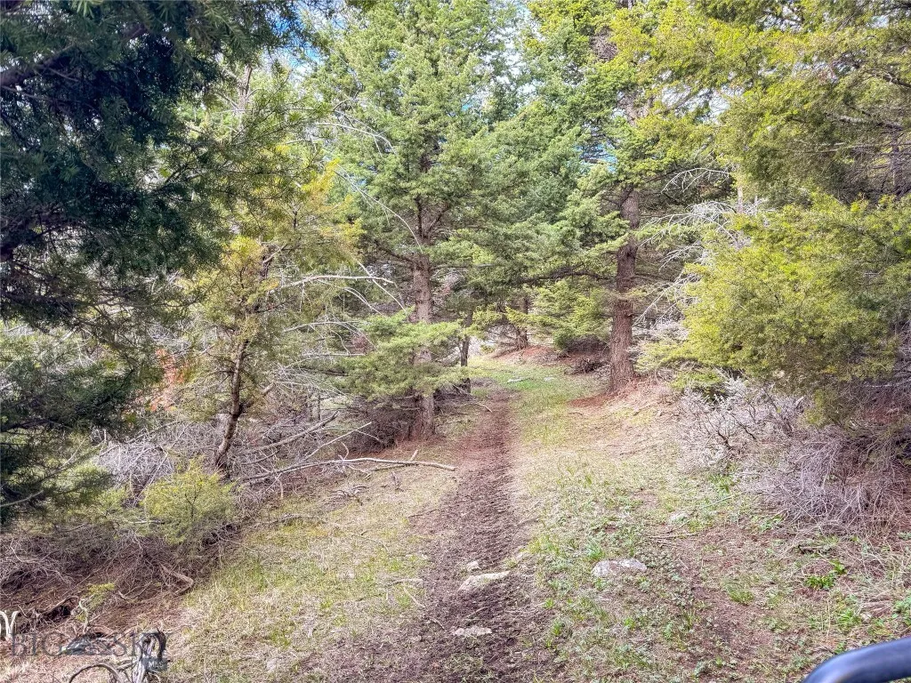 Tbd (58+/- Acres) Ottawa Gulch Road, Canyon Creek, Canyon Creek, Montana 59633, ,Land,For Sale,Tbd (58+/- Acres) Ottawa Gulch Road, Canyon Creek,403417