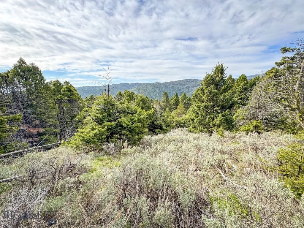 Tbd (58+/- Acres) Ottawa Gulch Road, Canyon Creek, Canyon Creek, Montana 59633, ,Land,For Sale,Tbd (58+/- Acres) Ottawa Gulch Road, Canyon Creek,403417