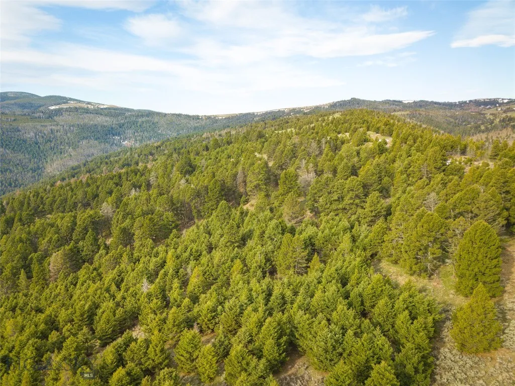 Tbd (58+/- Acres) Ottawa Gulch Road, Canyon Creek, Canyon Creek, Montana 59633, ,Land,For Sale,Tbd (58+/- Acres) Ottawa Gulch Road, Canyon Creek,403417