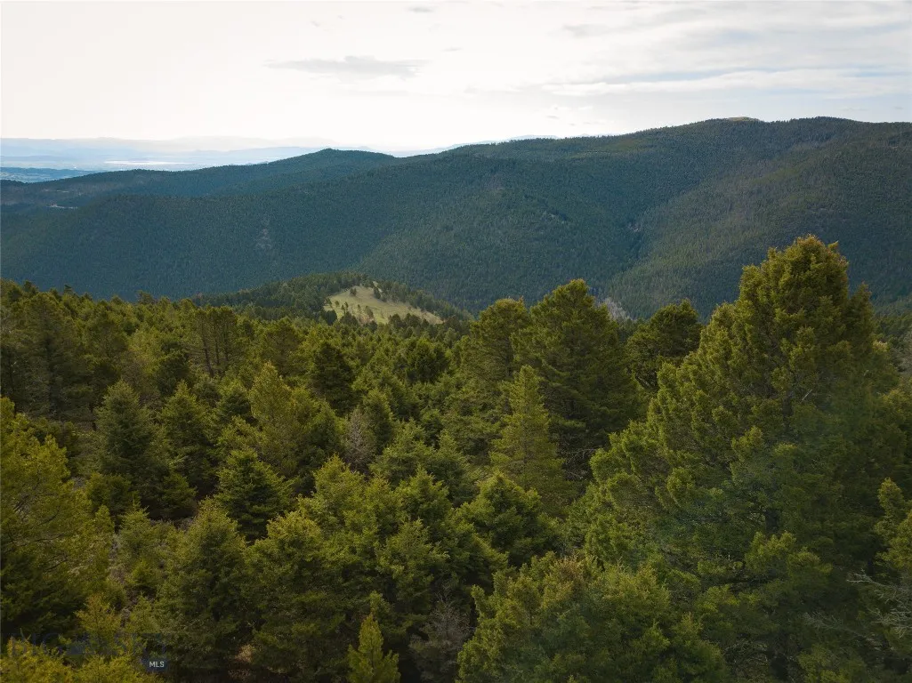 Tbd (58+/- Acres) Ottawa Gulch Road, Canyon Creek, Canyon Creek, Montana 59633, ,Land,For Sale,Tbd (58+/- Acres) Ottawa Gulch Road, Canyon Creek,403417