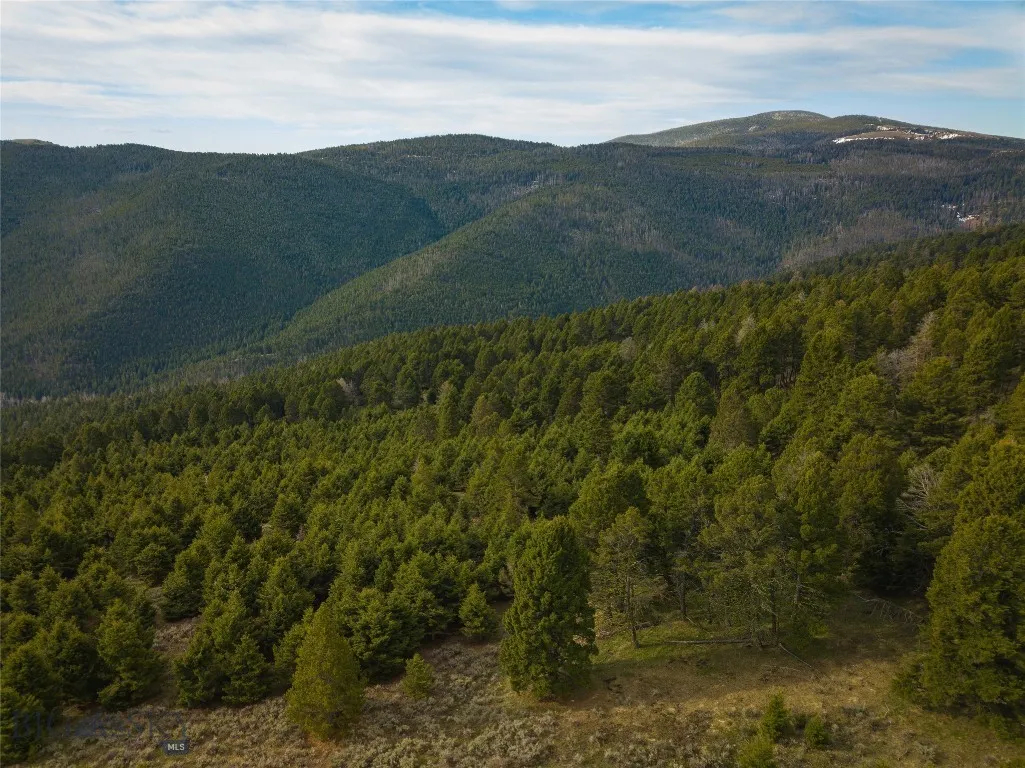 Tbd (58+/- Acres) Ottawa Gulch Road, Canyon Creek, Canyon Creek, Montana 59633, ,Land,For Sale,Tbd (58+/- Acres) Ottawa Gulch Road, Canyon Creek,403417
