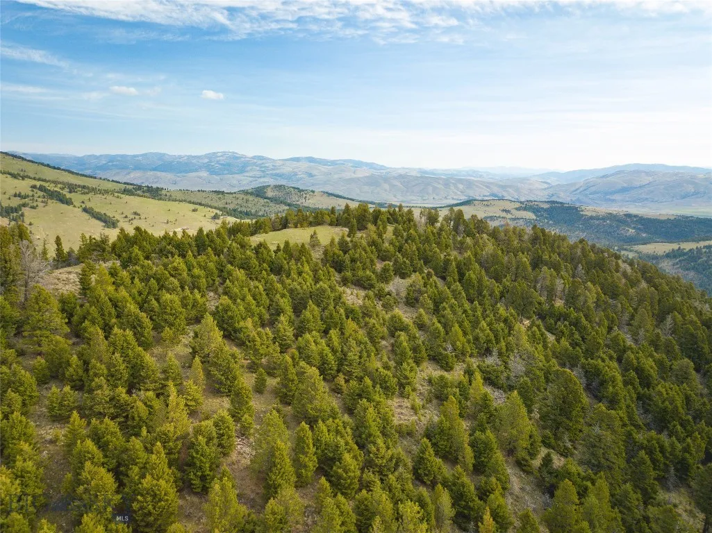 Tbd (58+/- Acres) Ottawa Gulch Road, Canyon Creek, Canyon Creek, Montana 59633, ,Land,For Sale,Tbd (58+/- Acres) Ottawa Gulch Road, Canyon Creek,403417