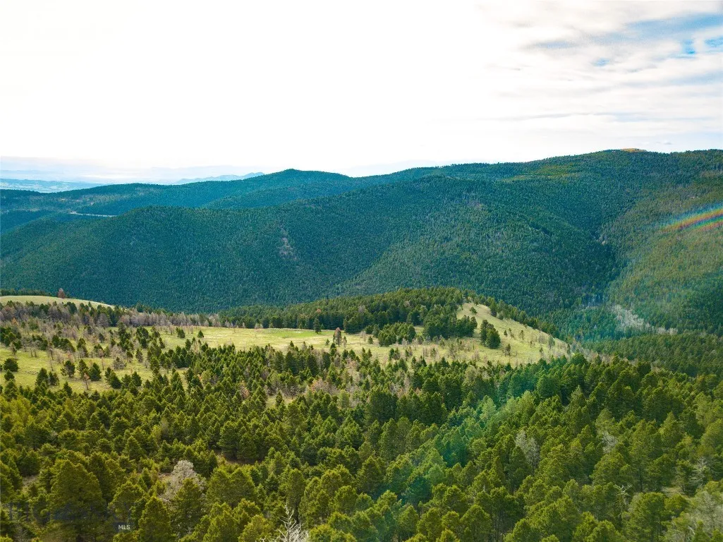 Tbd (58+/- Acres) Ottawa Gulch Road, Canyon Creek, Canyon Creek, Montana 59633, ,Land,For Sale,Tbd (58+/- Acres) Ottawa Gulch Road, Canyon Creek,403417