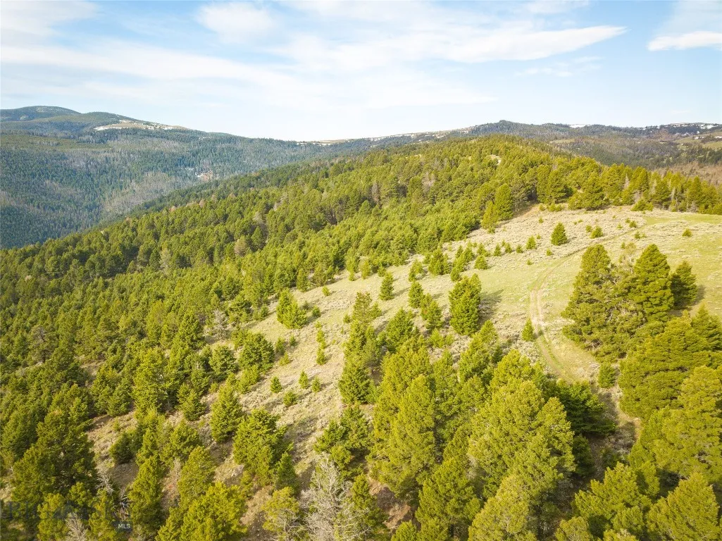 Tbd (58+/- Acres) Ottawa Gulch Road, Canyon Creek, Canyon Creek, Montana 59633, ,Land,For Sale,Tbd (58+/- Acres) Ottawa Gulch Road, Canyon Creek,403417