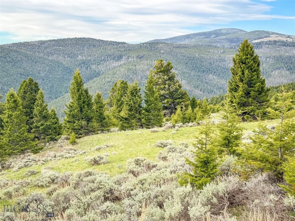 Tbd (58+/- Acres) Ottawa Gulch Road, Canyon Creek, Canyon Creek, Montana 59633, ,Land,For Sale,Tbd (58+/- Acres) Ottawa Gulch Road, Canyon Creek,403417