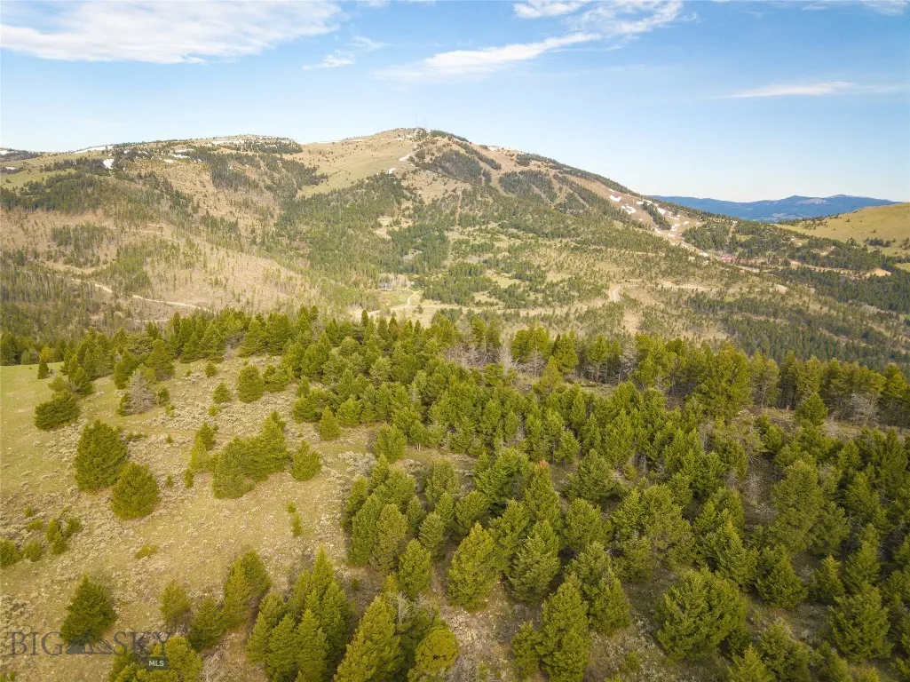 Tbd (58+/- Acres) Ottawa Gulch Road, Canyon Creek, Canyon Creek, Montana 59633, ,Land,For Sale,Tbd (58+/- Acres) Ottawa Gulch Road, Canyon Creek,403417