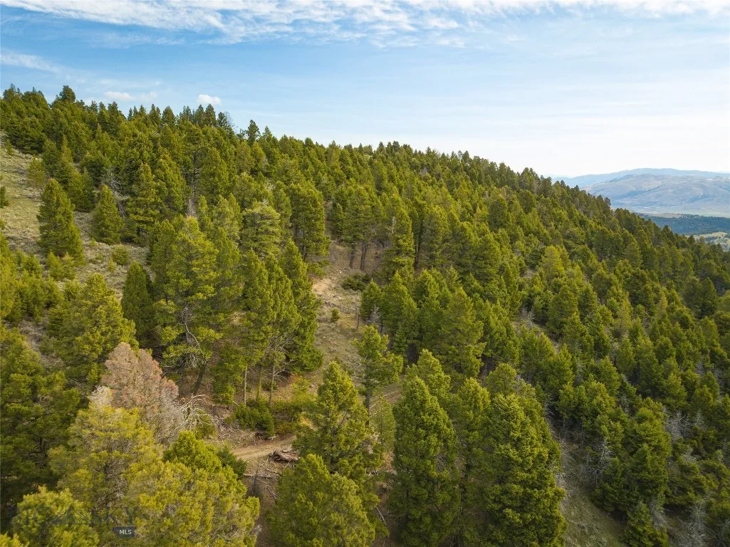 Tbd (58+/- Acres) Ottawa Gulch Road, Canyon Creek, Canyon Creek, Montana 59633, ,Land,For Sale,Tbd (58+/- Acres) Ottawa Gulch Road, Canyon Creek,403417
