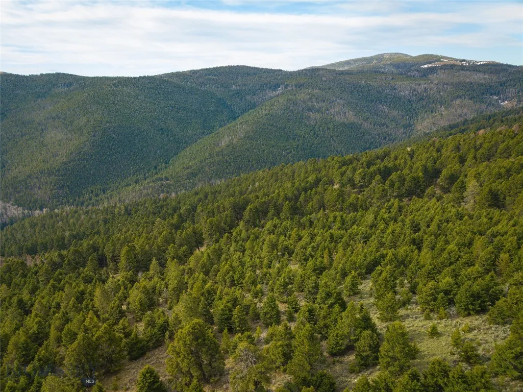 Tbd (58+/- Acres) Ottawa Gulch Road, Canyon Creek, Canyon Creek, Montana 59633, ,Land,For Sale,Tbd (58+/- Acres) Ottawa Gulch Road, Canyon Creek,403417