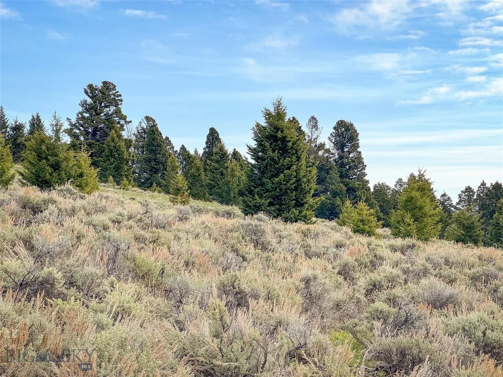 Tbd (58+/- Acres) Ottawa Gulch Road, Canyon Creek, Canyon Creek, Montana 59633, ,Land,For Sale,Tbd (58+/- Acres) Ottawa Gulch Road, Canyon Creek,403417