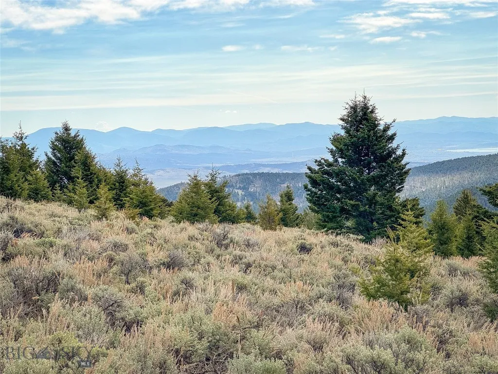 Tbd (58+/- Acres) Ottawa Gulch Road, Canyon Creek, Canyon Creek, Montana 59633, ,Land,For Sale,Tbd (58+/- Acres) Ottawa Gulch Road, Canyon Creek,403417