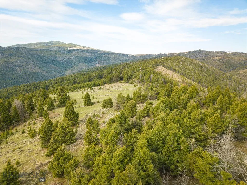 Tbd (58+/- Acres) Ottawa Gulch Road, Canyon Creek, Canyon Creek, Montana 59633, ,Land,For Sale,Tbd (58+/- Acres) Ottawa Gulch Road, Canyon Creek,403417
