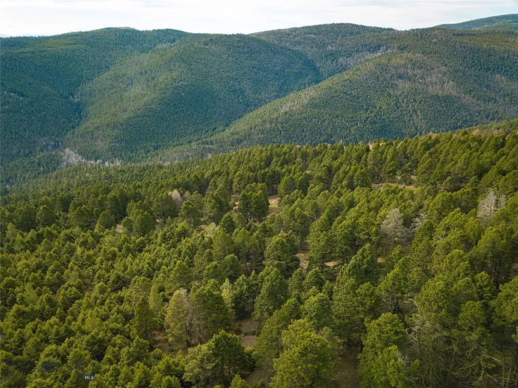Tbd (58+/- Acres) Ottawa Gulch Road, Canyon Creek, Canyon Creek, Montana 59633, ,Land,For Sale,Tbd (58+/- Acres) Ottawa Gulch Road, Canyon Creek,403417