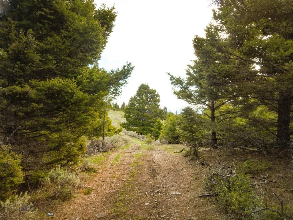 Tbd (58+/- Acres) Ottawa Gulch Road, Canyon Creek, Canyon Creek, Montana 59633, ,Land,For Sale,Tbd (58+/- Acres) Ottawa Gulch Road, Canyon Creek,403417