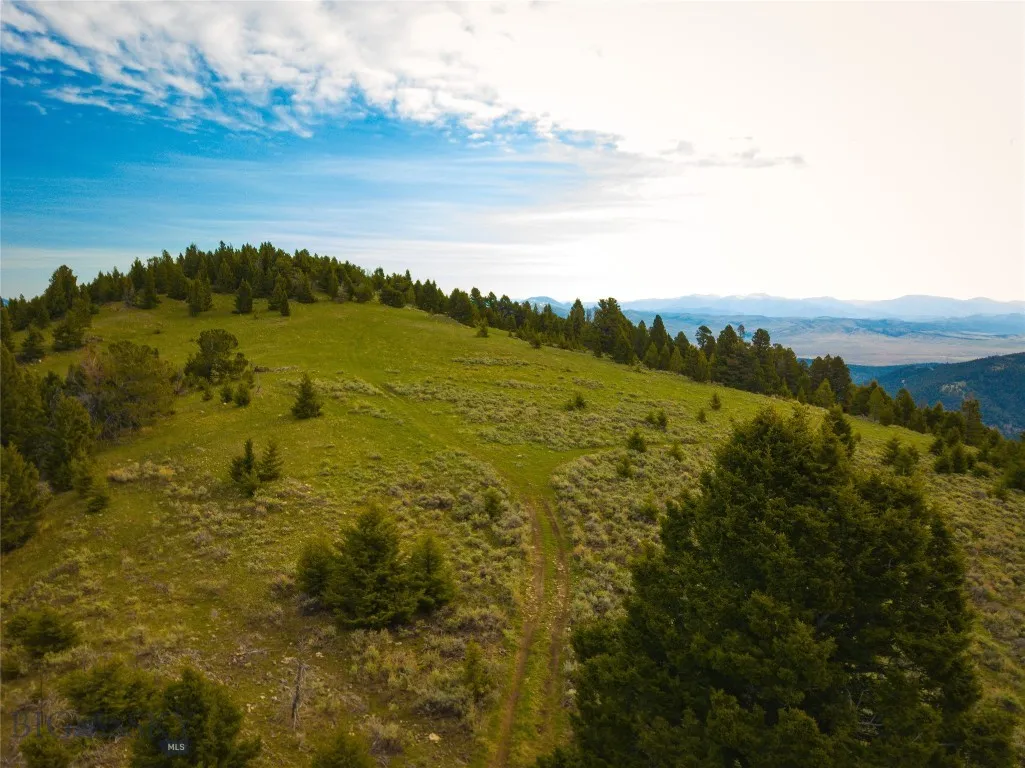 Tbd (58+/- Acres) Ottawa Gulch Road, Canyon Creek, Canyon Creek, Montana 59633, ,Land,For Sale,Tbd (58+/- Acres) Ottawa Gulch Road, Canyon Creek,403417