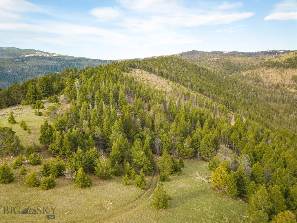 Tbd (58+/- Acres) Ottawa Gulch Road, Canyon Creek, Canyon Creek, Montana 59633, ,Land,For Sale,Tbd (58+/- Acres) Ottawa Gulch Road, Canyon Creek,403417