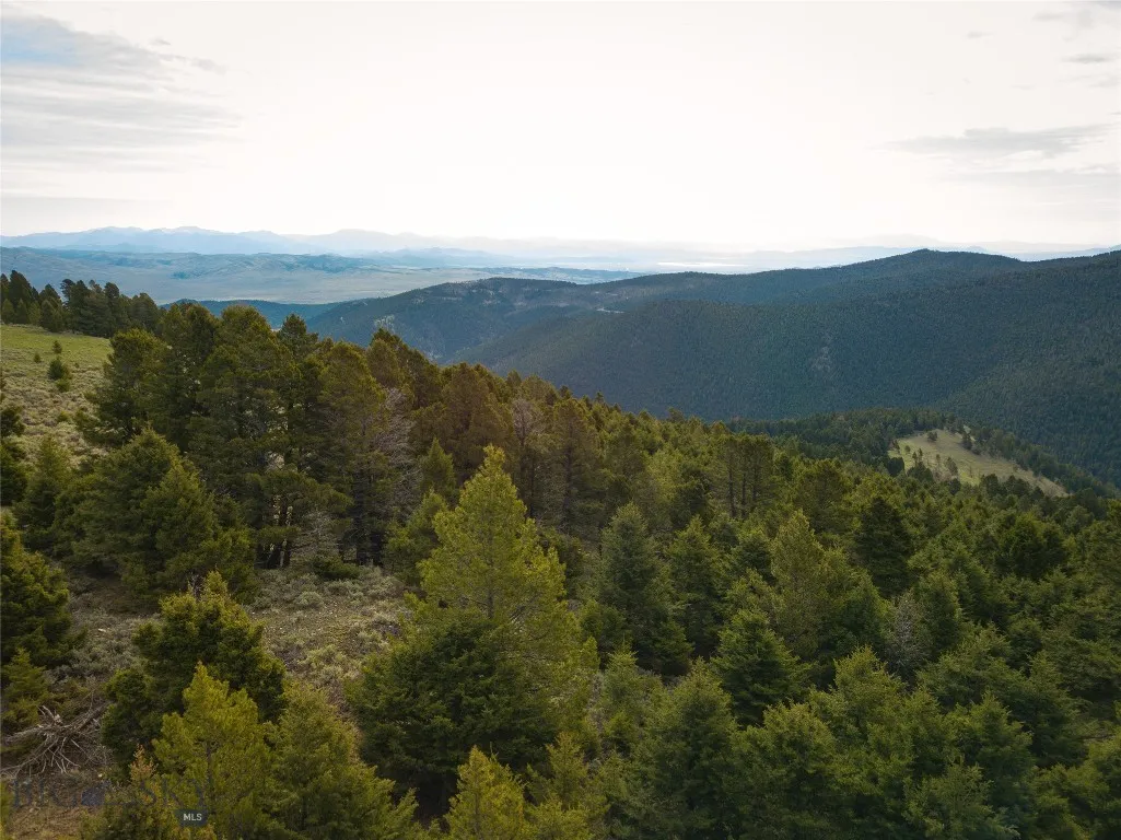 Tbd (58+/- Acres) Ottawa Gulch Road, Canyon Creek, Canyon Creek, Montana 59633, ,Land,For Sale,Tbd (58+/- Acres) Ottawa Gulch Road, Canyon Creek,403417