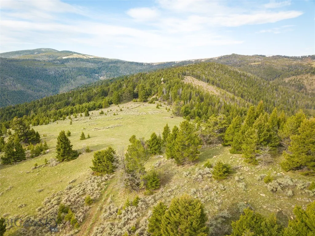 Tbd (58+/- Acres) Ottawa Gulch Road, Canyon Creek, Canyon Creek, Montana 59633, ,Land,For Sale,Tbd (58+/- Acres) Ottawa Gulch Road, Canyon Creek,403417