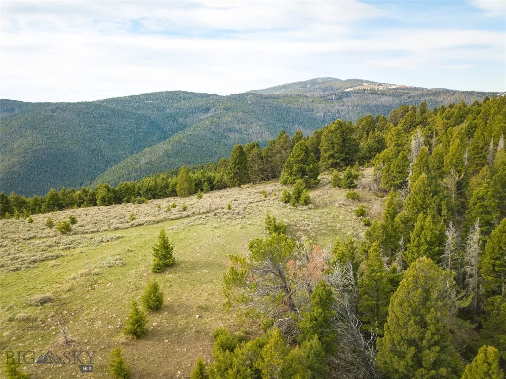 Tbd (58+/- Acres) Ottawa Gulch Road, Canyon Creek, Canyon Creek, Montana 59633, ,Land,For Sale,Tbd (58+/- Acres) Ottawa Gulch Road, Canyon Creek,403417