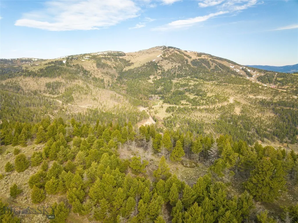 Tbd (58+/- Acres) Ottawa Gulch Road, Canyon Creek, Canyon Creek, Montana 59633, ,Land,For Sale,Tbd (58+/- Acres) Ottawa Gulch Road, Canyon Creek,403417