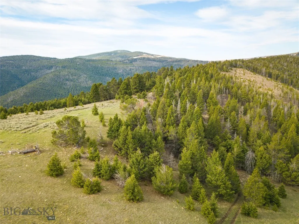 Tbd (58+/- Acres) Ottawa Gulch Road, Canyon Creek, Canyon Creek, Montana 59633, ,Land,For Sale,Tbd (58+/- Acres) Ottawa Gulch Road, Canyon Creek,403417