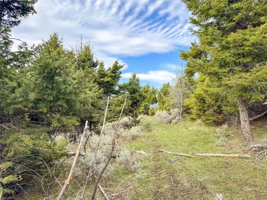 Tbd (58+/- Acres) Ottawa Gulch Road, Canyon Creek, Canyon Creek, Montana 59633, ,Land,For Sale,Tbd (58+/- Acres) Ottawa Gulch Road, Canyon Creek,403417