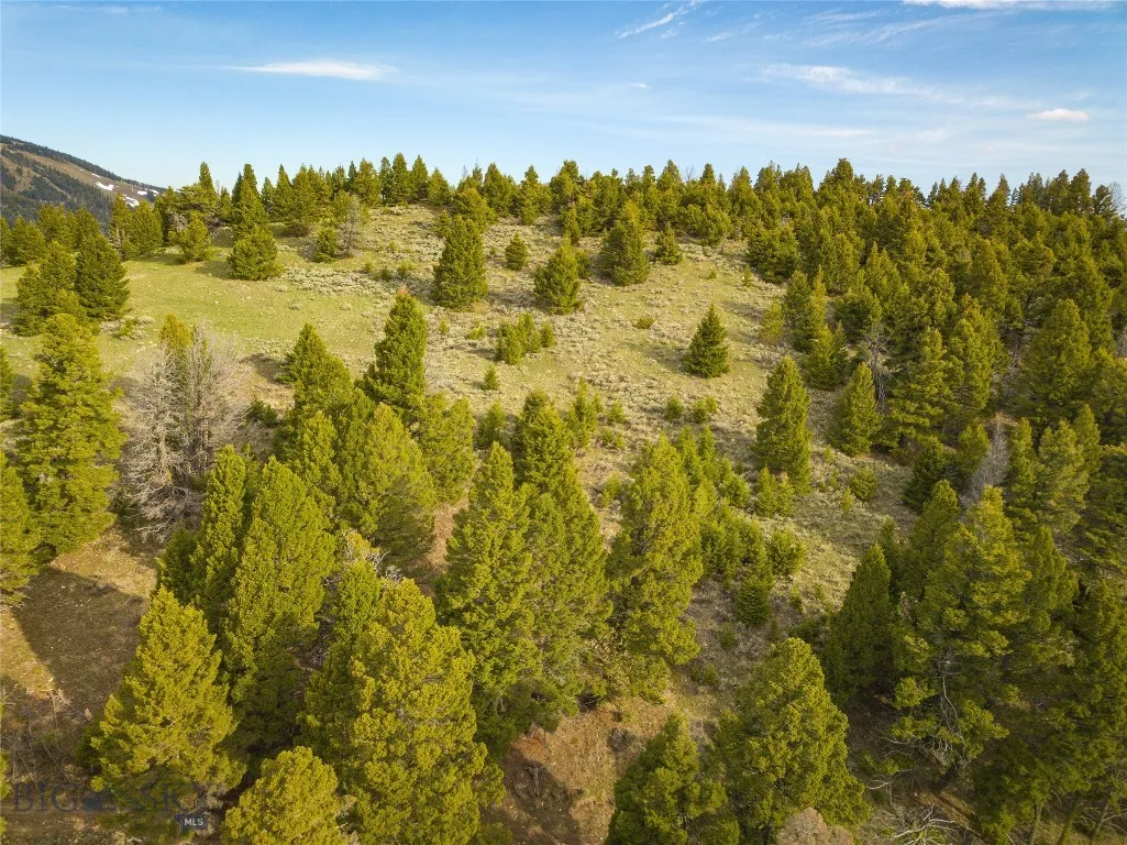 Tbd (58+/- Acres) Ottawa Gulch Road, Canyon Creek, Canyon Creek, Montana 59633, ,Land,For Sale,Tbd (58+/- Acres) Ottawa Gulch Road, Canyon Creek,403417