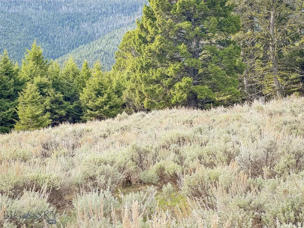 Tbd (58+/- Acres) Ottawa Gulch Road, Canyon Creek, Canyon Creek, Montana 59633, ,Land,For Sale,Tbd (58+/- Acres) Ottawa Gulch Road, Canyon Creek,403417