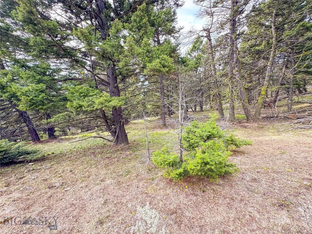 Tbd (58+/- Acres) Ottawa Gulch Road, Canyon Creek, Canyon Creek, Montana 59633, ,Land,For Sale,Tbd (58+/- Acres) Ottawa Gulch Road, Canyon Creek,403417