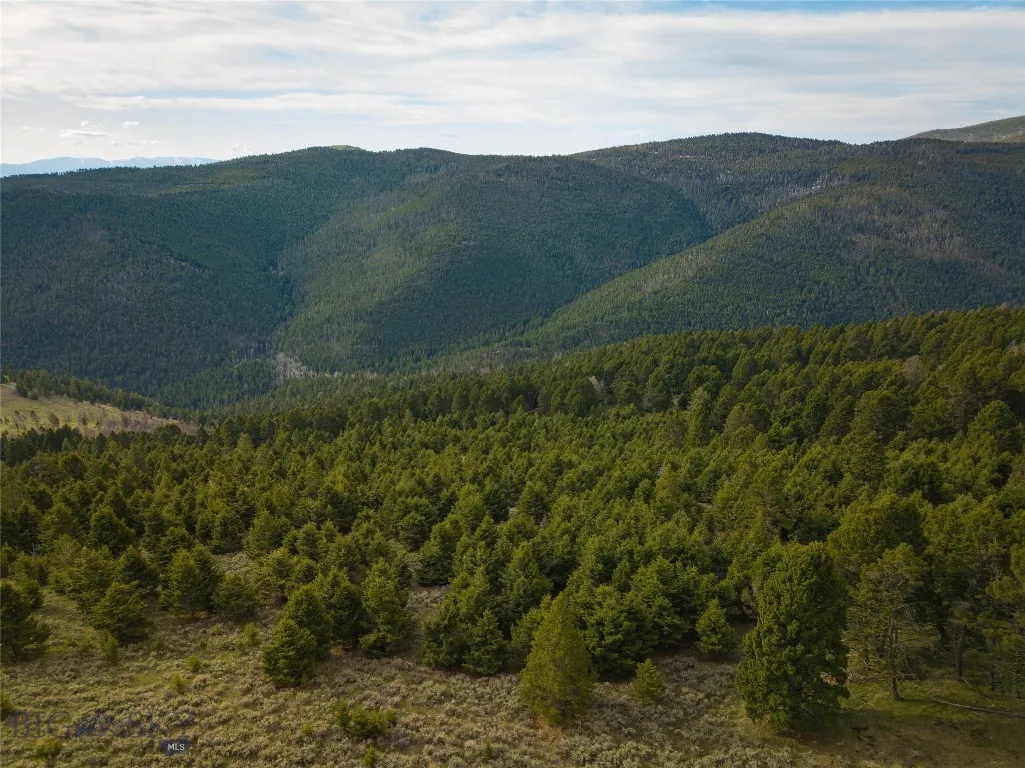 Tbd (58+/- Acres) Ottawa Gulch Road, Canyon Creek, Canyon Creek, Montana 59633, ,Land,For Sale,Tbd (58+/- Acres) Ottawa Gulch Road, Canyon Creek,403417