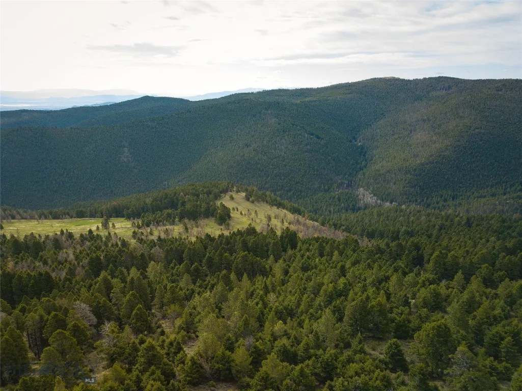 Tbd (58+/- Acres) Ottawa Gulch Road, Canyon Creek, Canyon Creek, Montana 59633, ,Land,For Sale,Tbd (58+/- Acres) Ottawa Gulch Road, Canyon Creek,403417